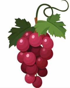 ماموگرافی چیست؟ d/ماموگرافی چیست؟