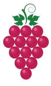 ماموگرافی چیست؟ d/ماموگرافی چیست؟