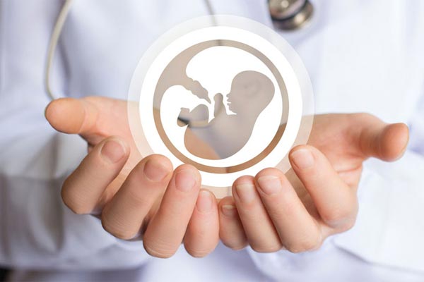 آمادگی سونوگرافی غربالگری سه ماهه اول یا NT s/آمادگی سونوگرافی غربالگری سه ماهه اول یا NT