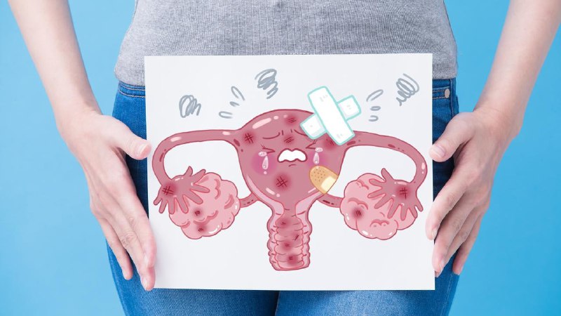 عکس رنگی رحم j/عکس رنگی رحم