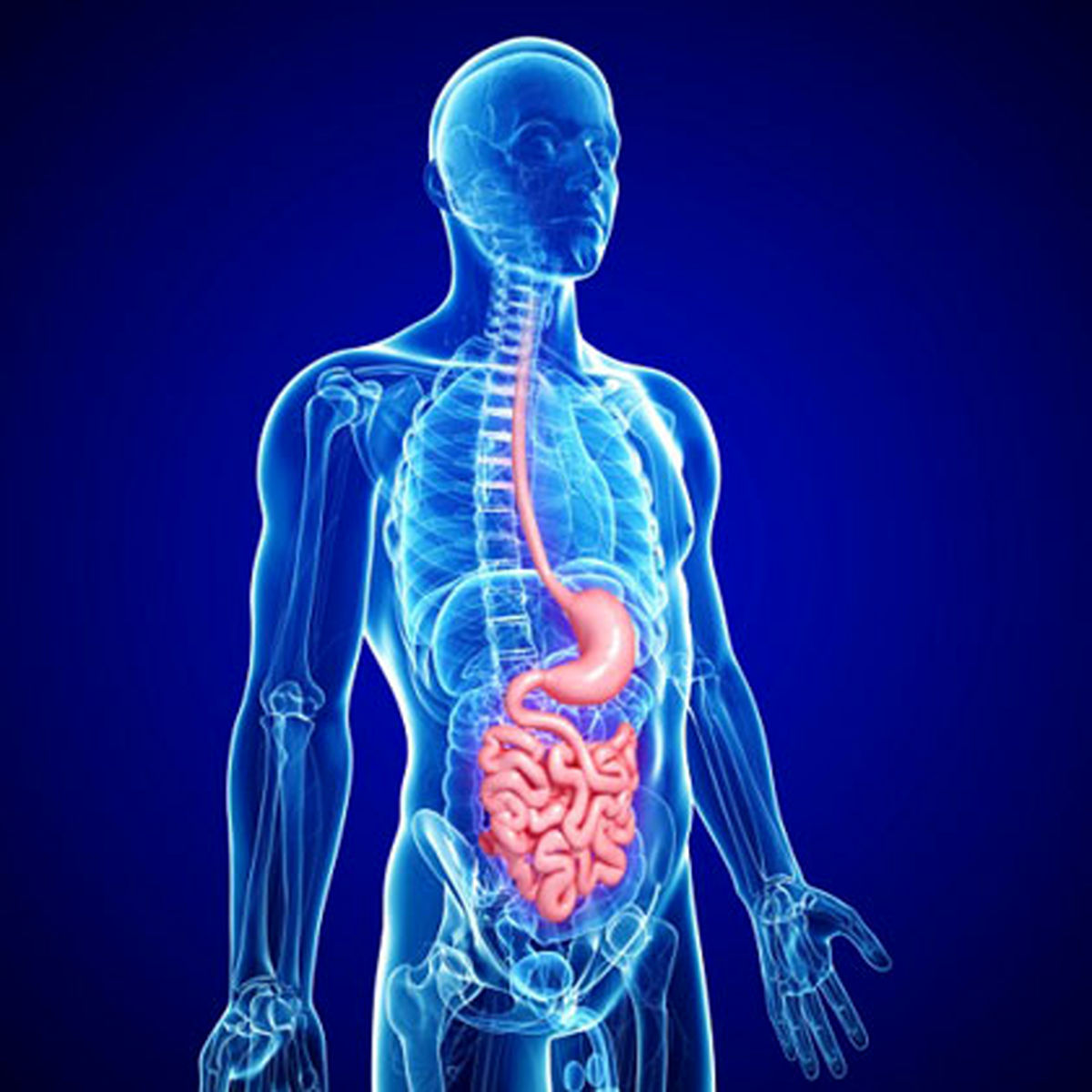 آمادگی رادیو گرافی عکس رنگی از مری ، معده و اثنی عشر s/آمادگی رادیو گرافی عکس رنگی از مری ، معده و اثنی عشر