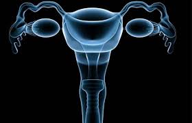 اندومتریوز r/اندومتریوز