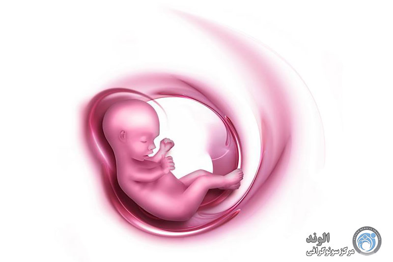 y/اکوقلب جنین در تهران