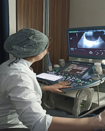 اسکن آنومالی یا غربالگری جنین F/اسکن آنومالی یا غربالگری جنین